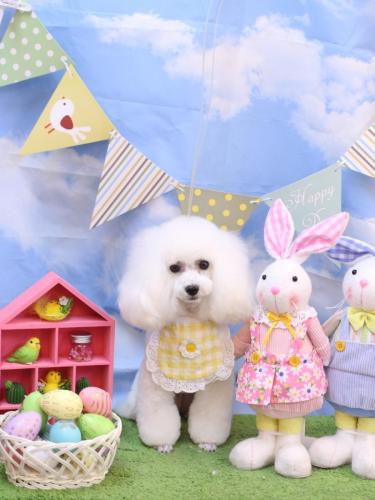 20240321ゆわちゃん